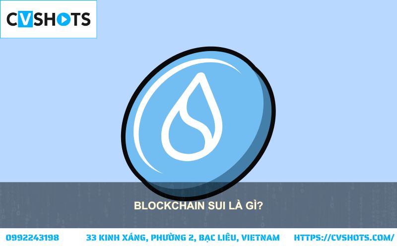 Sui là gì? Tìm hiểu blockchain Sui - nền tảng thế hệ mới với khả năng mở rộng và hiệu suất vượt trội Sui là gì? Tìm hiểu blockchain Sui - nền tảng thế hệ mới với khả năng mở rộng và hiệu suất vượt trội
